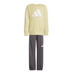 Detsk teplkov sprava ADIDAS LK BL FT JOG JE1384