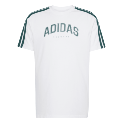 Pnske triko ADIDAS M C COLLEG TEE JJ3868