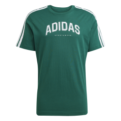 Pnske triko ADIDAS M C COLLEG TEE JJ3869
