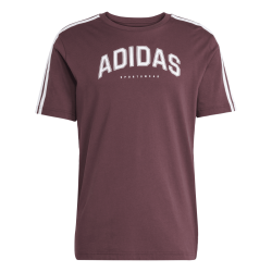 Pnske triko ADIDAS M C COLLEG TEE JM0380