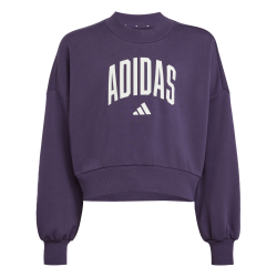 Dievensk mikina ADIDAS JG CLGT FT SWT JV7379