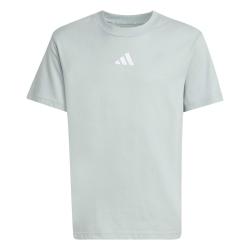 Detsk� tri�ko ADIDAS J SL TEE 160 KD3367